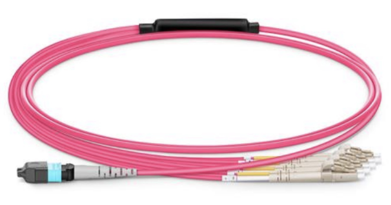 MPO/MTP PATCH CORD