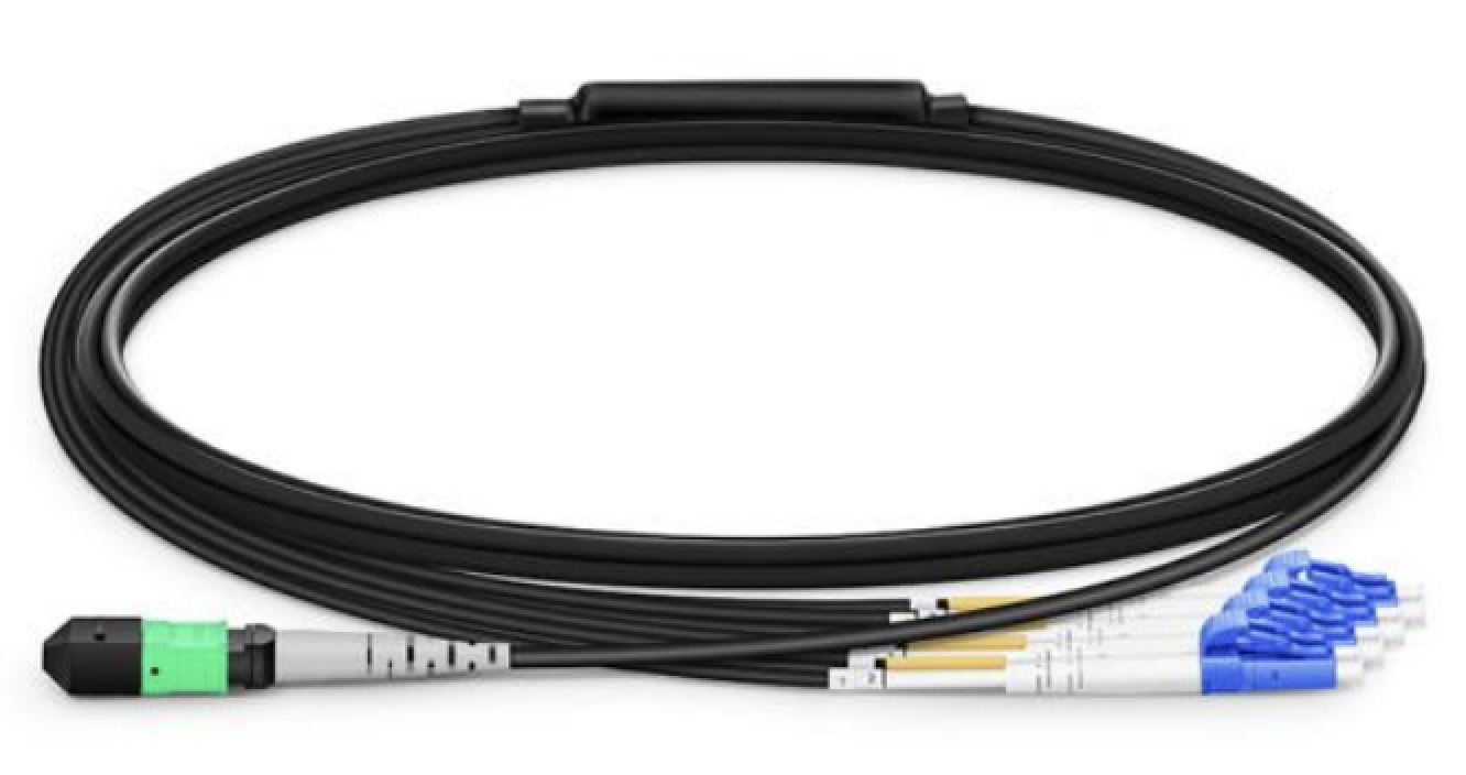 MPO/MTP PATCH CORD