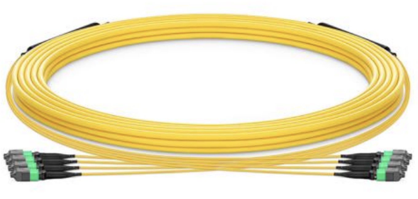MPO/MTP PATCH CORD