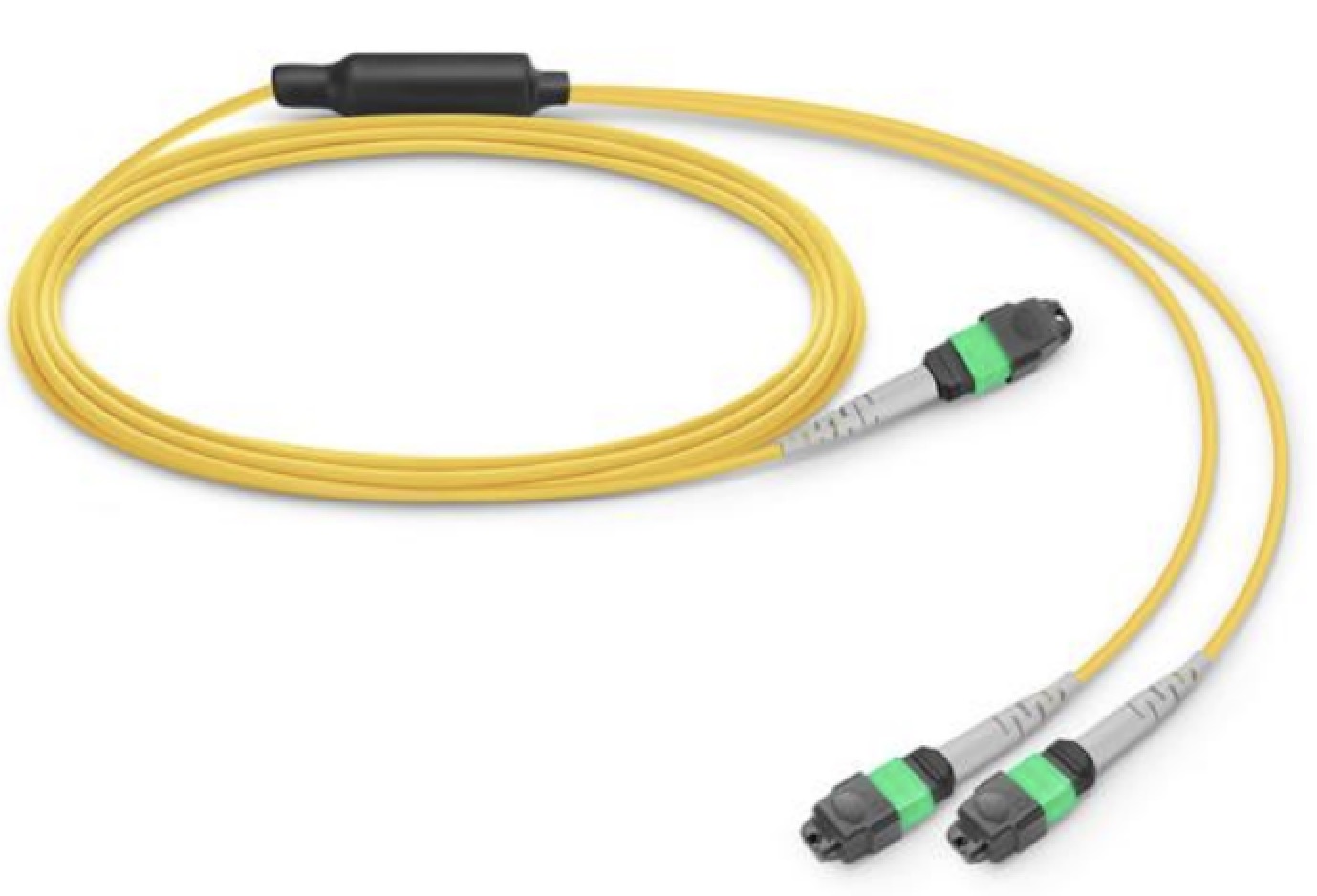 MPO/MTP PATCH CORD