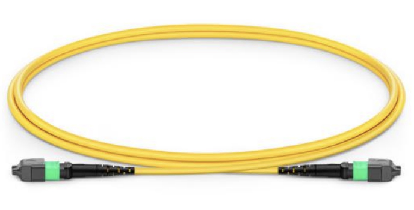 MPO/MTP PATCH CORD