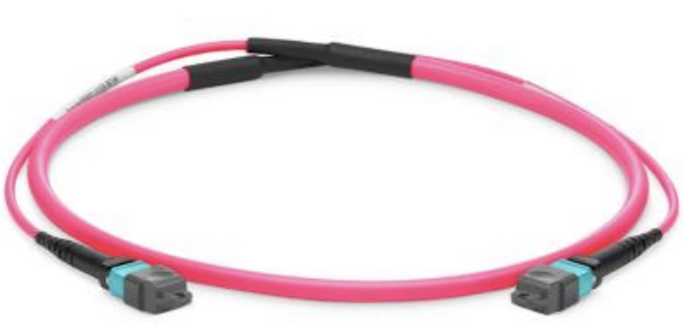 MPO/MTP PATCH CORD